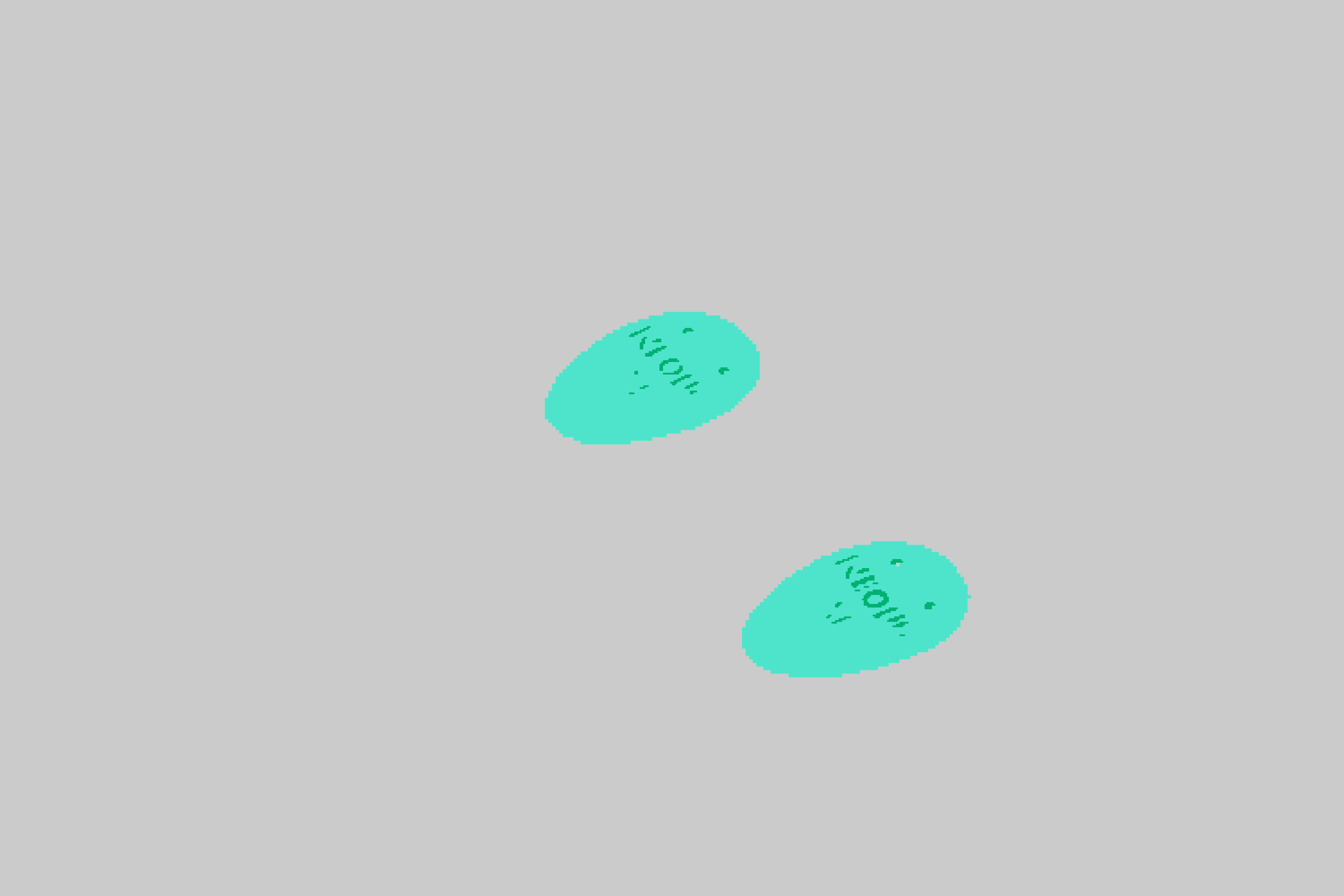 Heel Cushion Silion